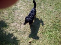 Nivnice-20130726-00669