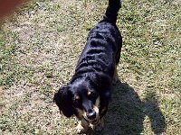 Nivnice-20130726-00670