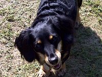 Nivnice-20130726-00670x