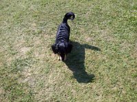 Nivnice-20130726-00671