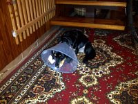 Praha-20131012-00726